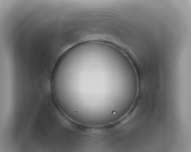 X0000111661505200907241141