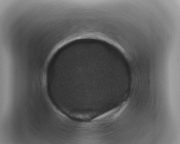 X0000111661506200907241141