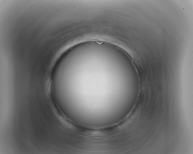 X0000111661507200907241141