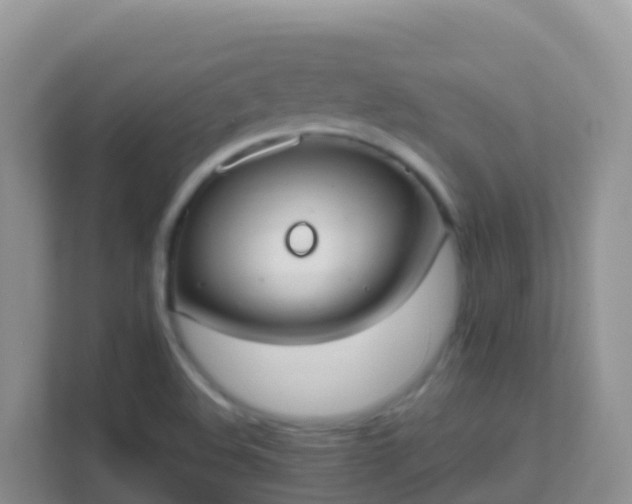 X0000111661508200907241141