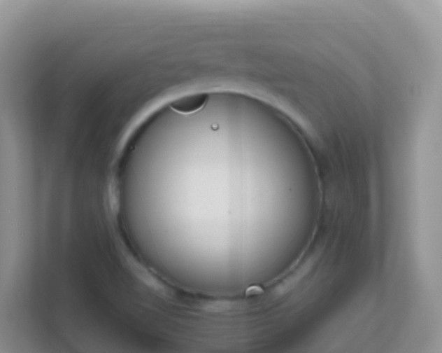 X0000111661510200907241141