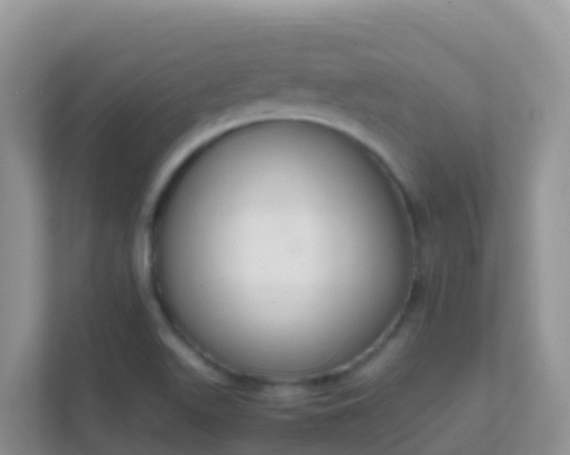 X0000111661511200907241141