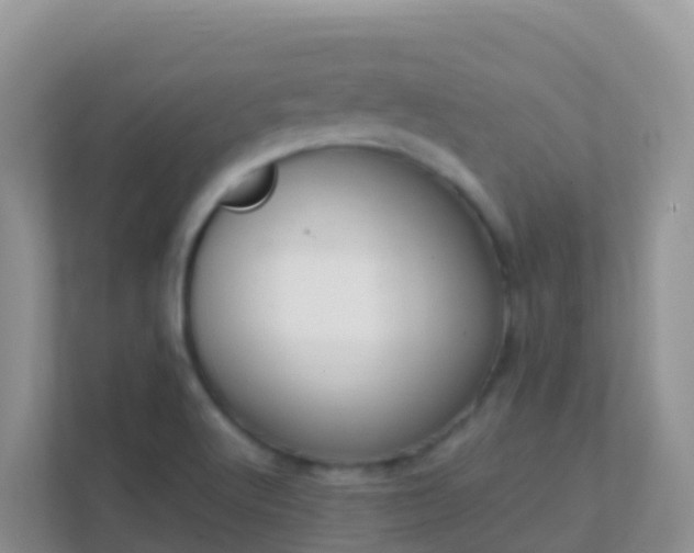 X0000111661512200907241141