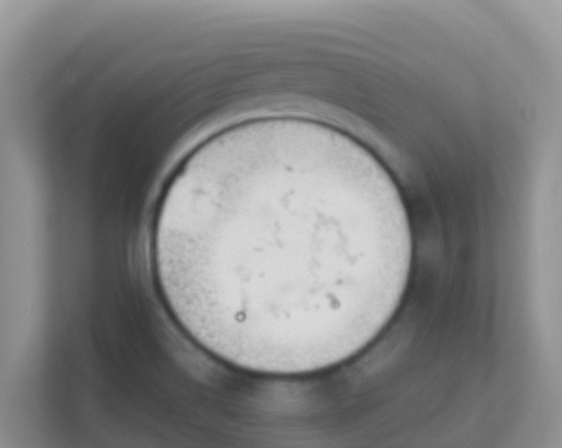 X0000111661514200907241141