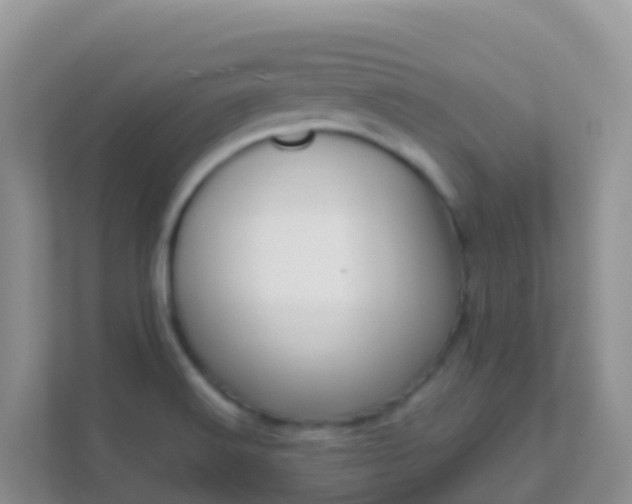 X0000111661516200907241141