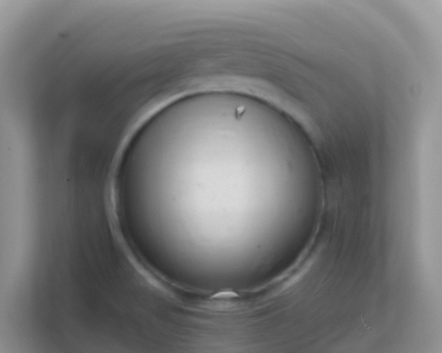 X0000111661517200907241141