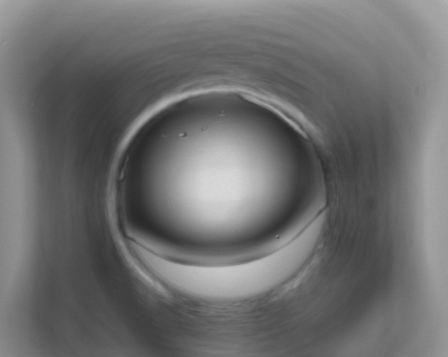 X0000111661518200907241141
