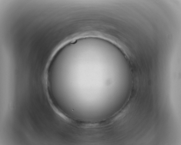 X0000111661519200907241141