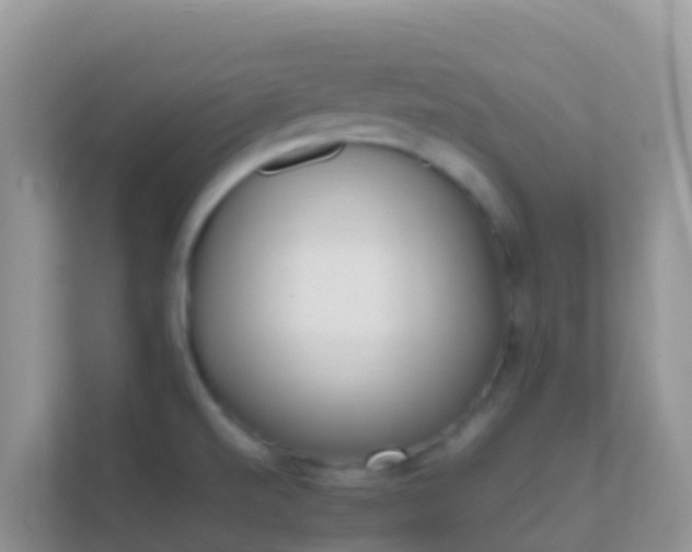 X0000111661520200907241141