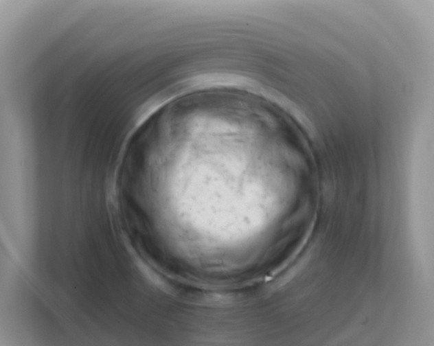 X0000111661521200907241141