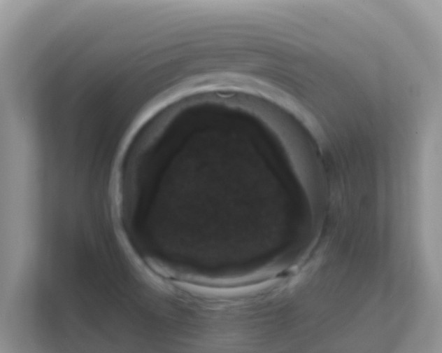 X0000111661522200907241141