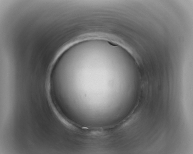 X0000111661523200907241141