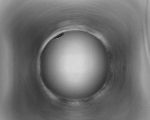 X0000111661524200907241141