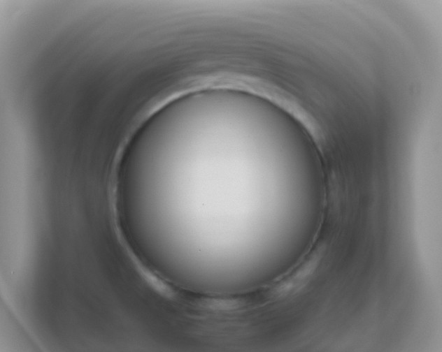 X0000111661525200907241141