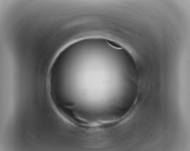 X0000111661526200907241141