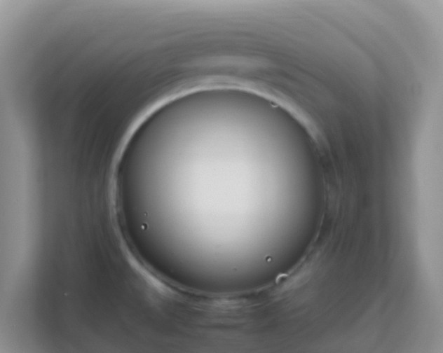 X0000111661527200907241141