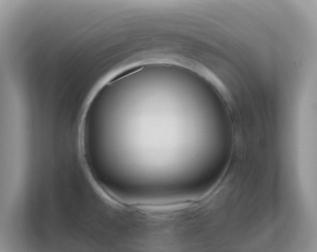 X0000111661528200907241141