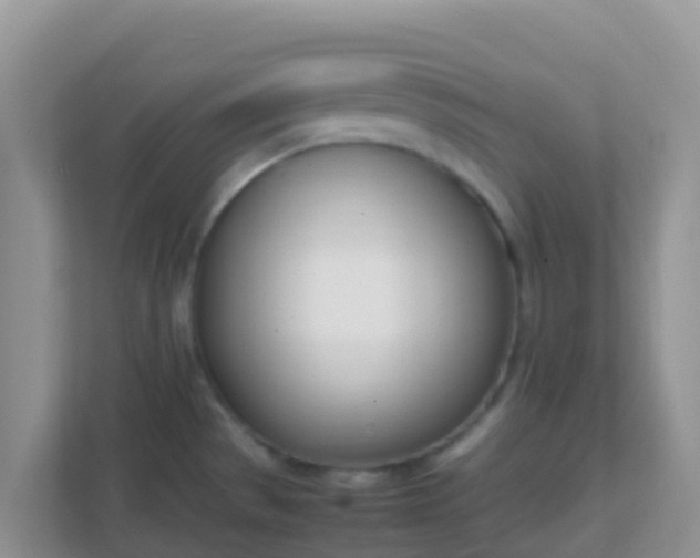 X0000111661529200907241141