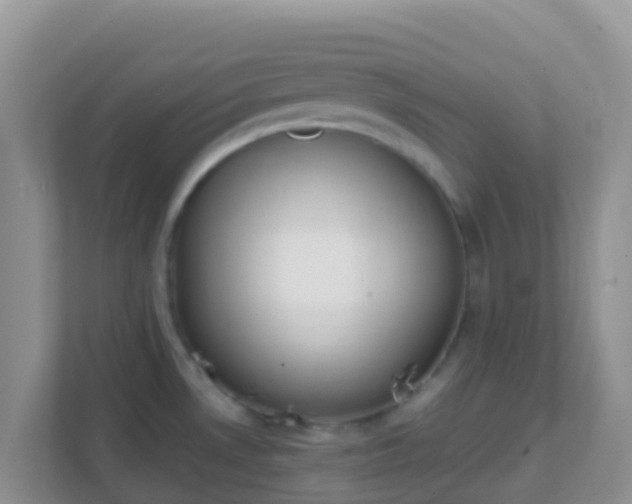X0000111661530200907241141