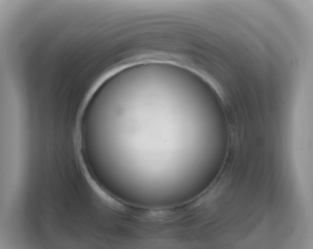 X0000111661531200907241141