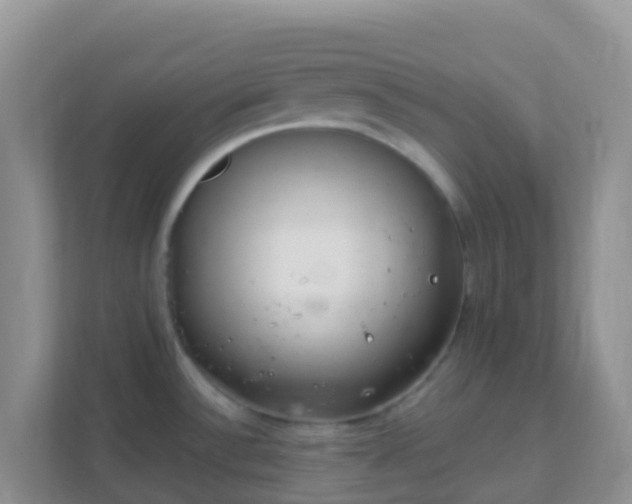 X0000111661532200907241141