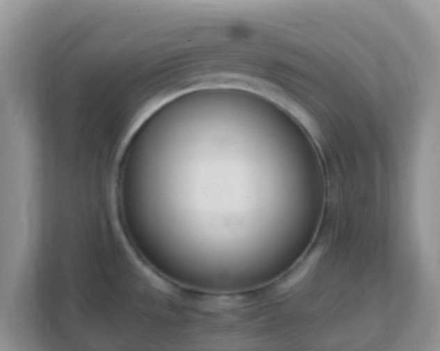 X0000111661533200907241141