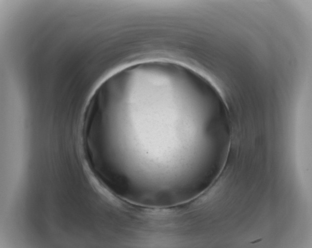 X0000111661534200907241141