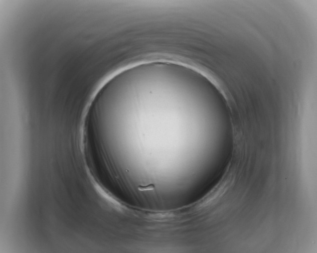 X0000111661535200907241141
