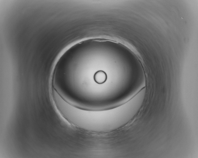 X0000111661536200907241141
