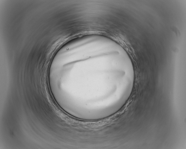 X0000111660001200907311147