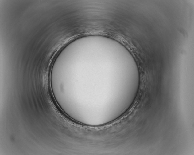 X0000111660002200907311147