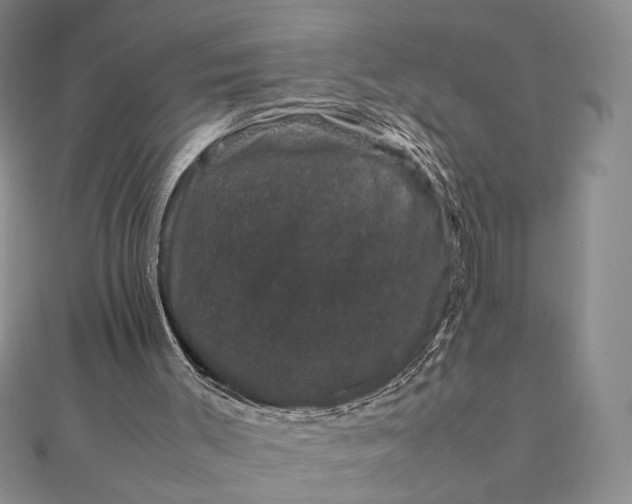 X0000111660003200907311147