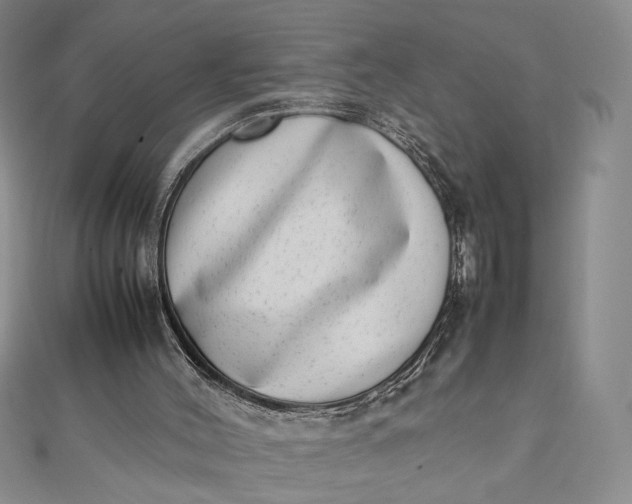 X0000111660004200907311147