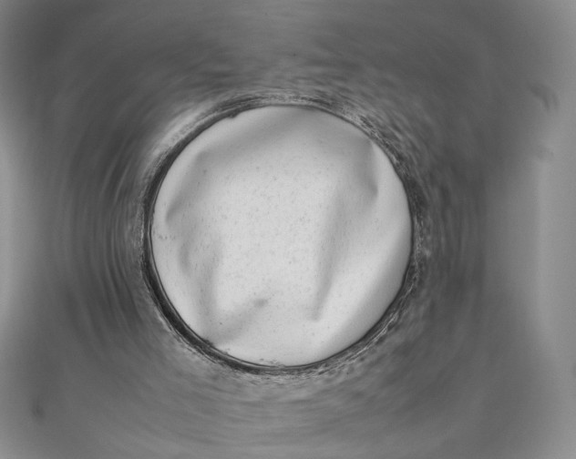 X0000111660005200907311147