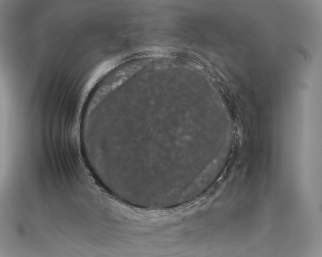 X0000111660006200907311147