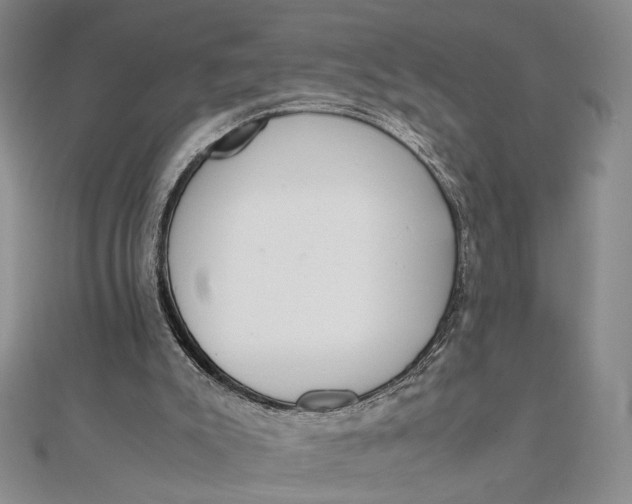 X0000111660007200907311147