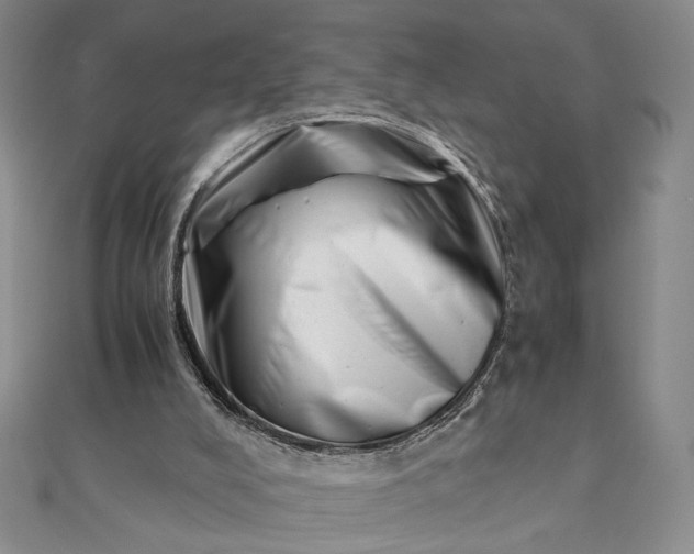 X0000111660008200907311147