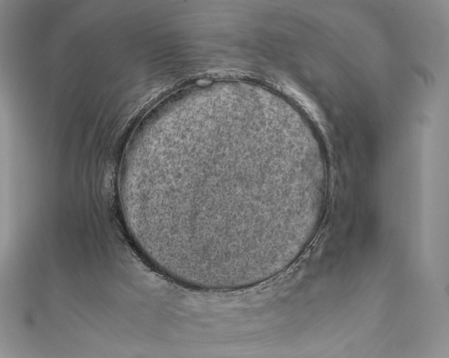 X0000111660009200907311147