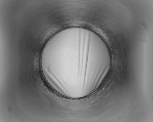 X0000111660010200907311147