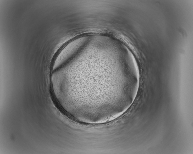 X0000111660011200907311147