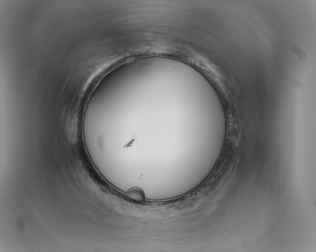 X0000111660012200907311147