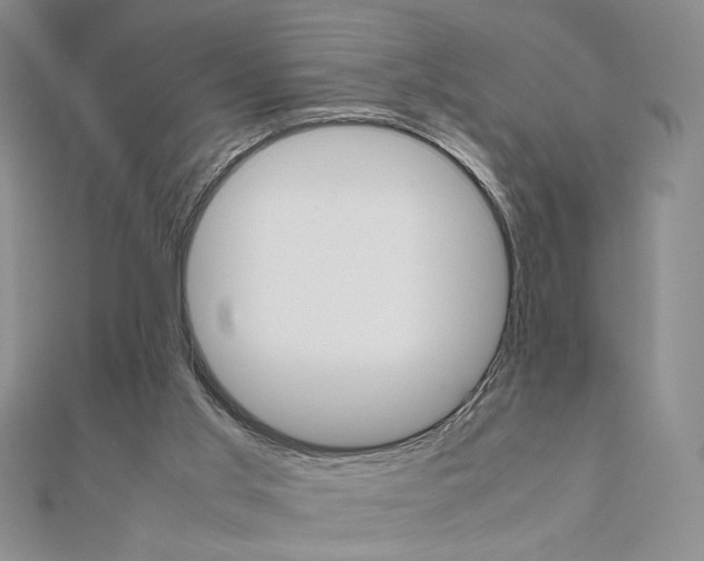 X0000111660013200907311147