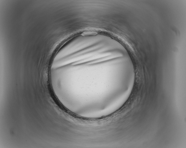 X0000111660015200907311147