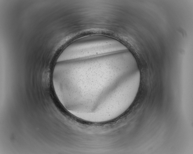 X0000111660016200907311147