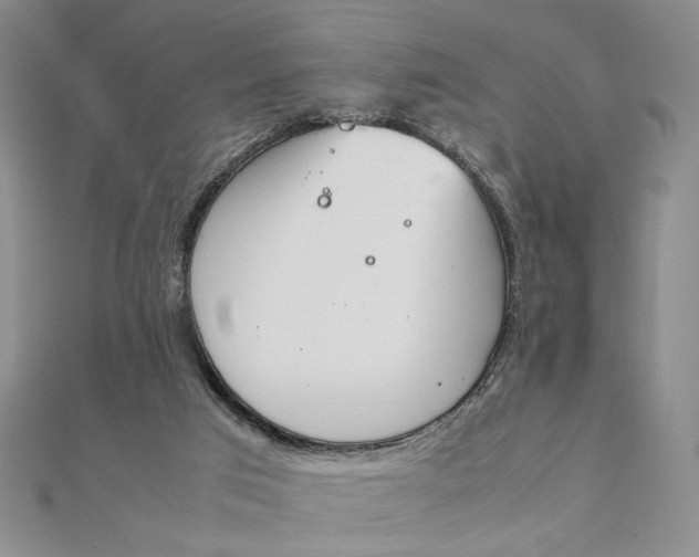 X0000111660017200907311147