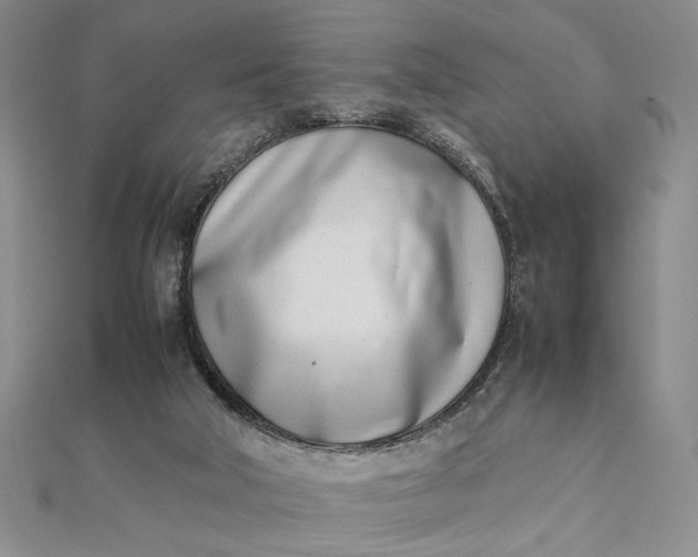 X0000111660018200907311147