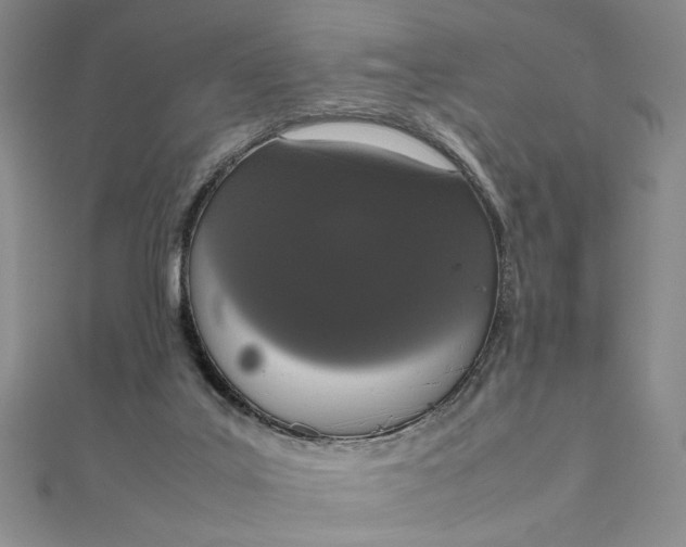 X0000111660019200907311147