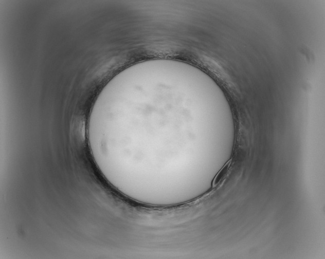 X0000111660021200907311147