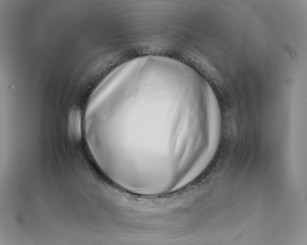 X0000111660022200907311147