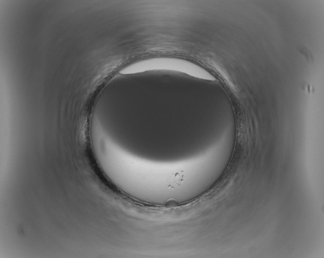 X0000111660023200907311147